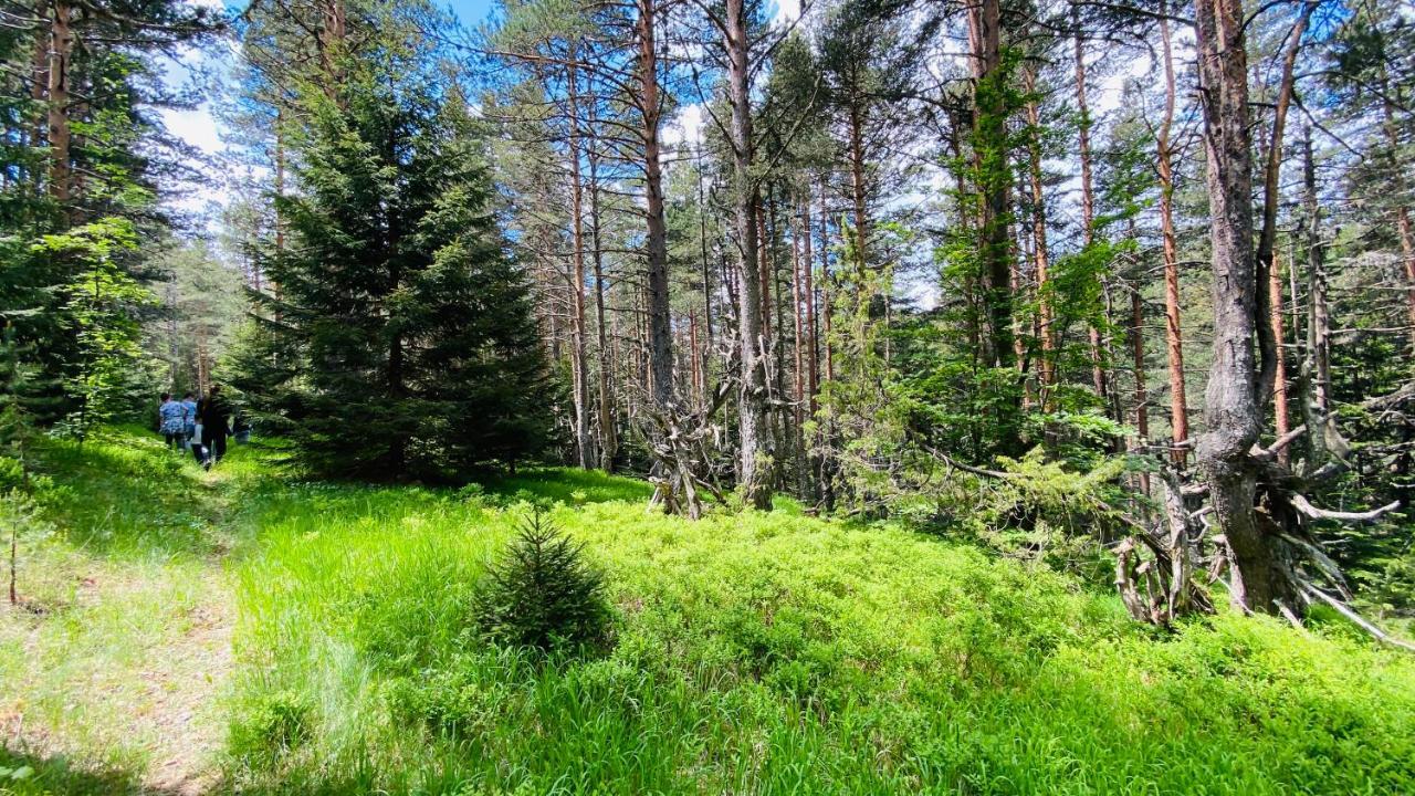 Eco Village Pavlovic Žabljak Zewnętrze zdjęcie