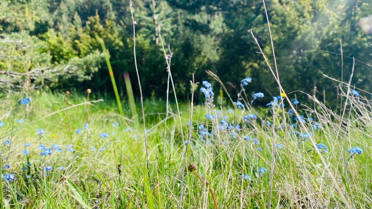 Eco Village Pavlovic Žabljak Zewnętrze zdjęcie