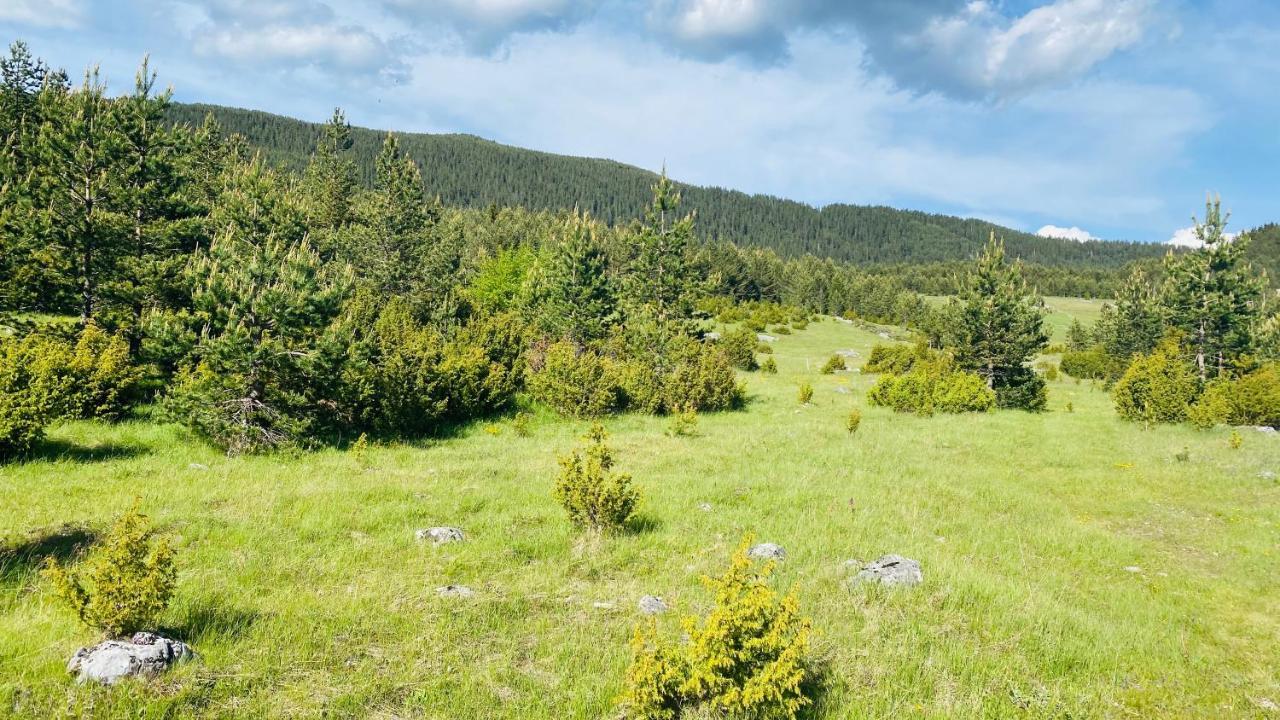 Eco Village Pavlovic Žabljak Zewnętrze zdjęcie