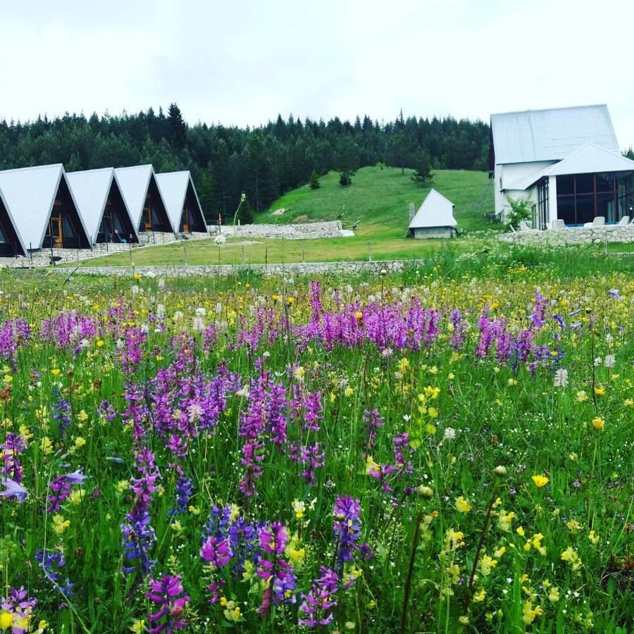 Eco Village Pavlovic Žabljak Zewnętrze zdjęcie