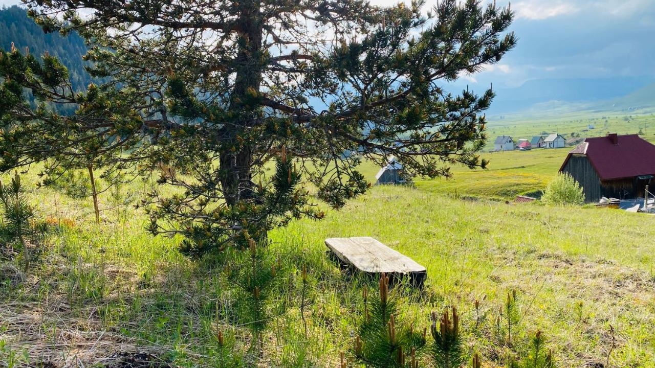 Eco Village Pavlovic Žabljak Zewnętrze zdjęcie