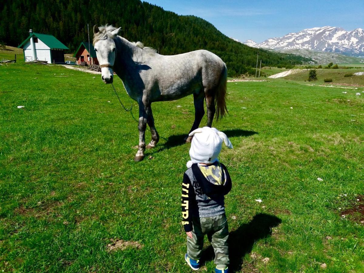Eco Village Pavlovic Žabljak Zewnętrze zdjęcie